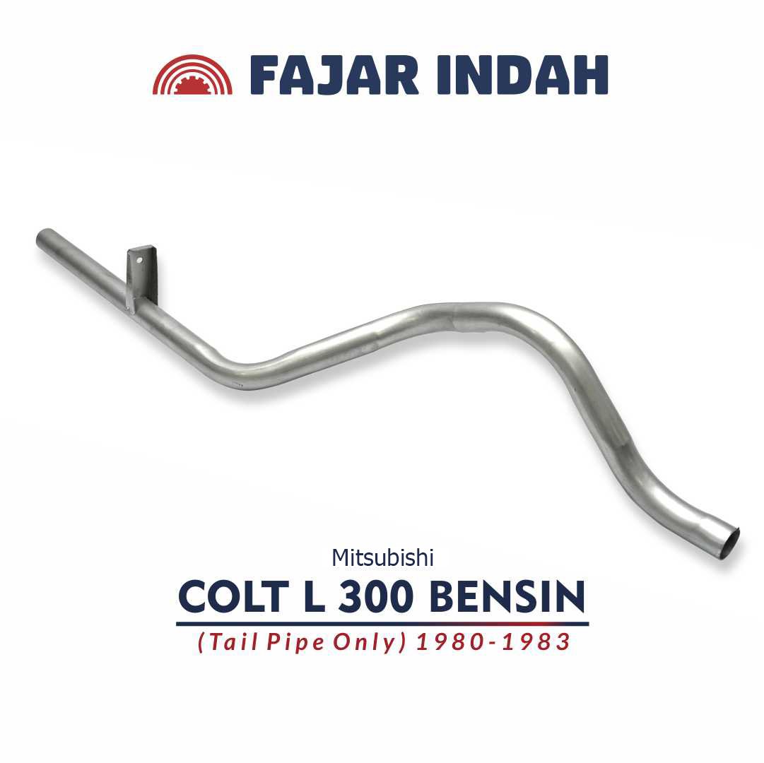 l 300 bensin